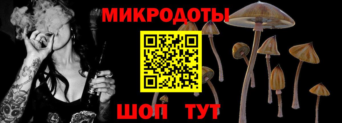 Назарово  Псилоцибиновые грибы прущие грибы  Вход с VPN 